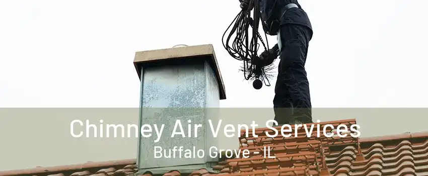 Chimney Air Vent Services Buffalo Grove - IL