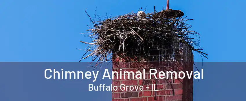 Chimney Animal Removal Buffalo Grove - IL