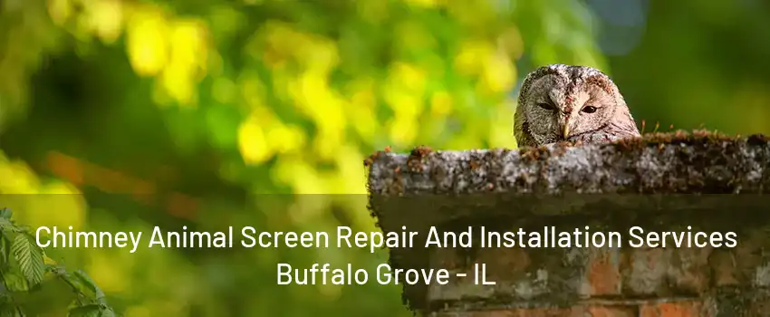 Chimney Animal Screen Repair And Installation Services Buffalo Grove - IL