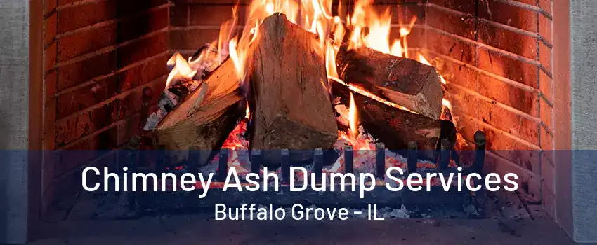 Chimney Ash Dump Services Buffalo Grove - IL