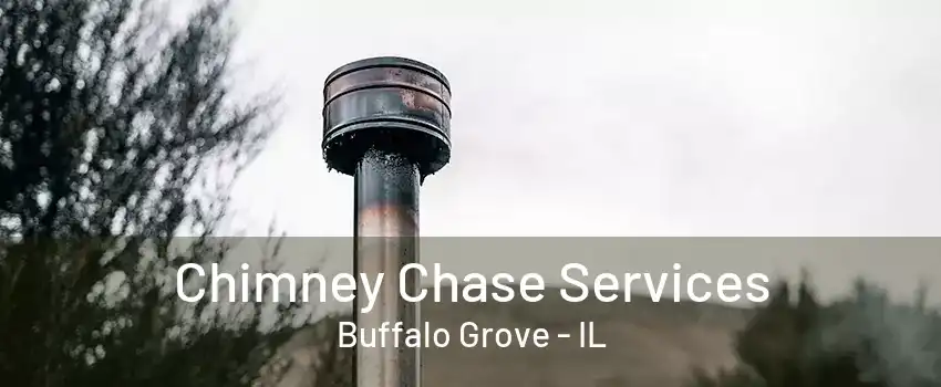 Chimney Chase Services Buffalo Grove - IL