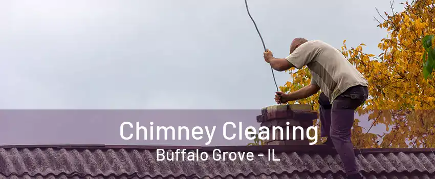 Chimney Cleaning Buffalo Grove - IL