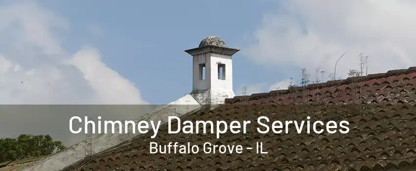 Chimney Damper Services Buffalo Grove - IL
