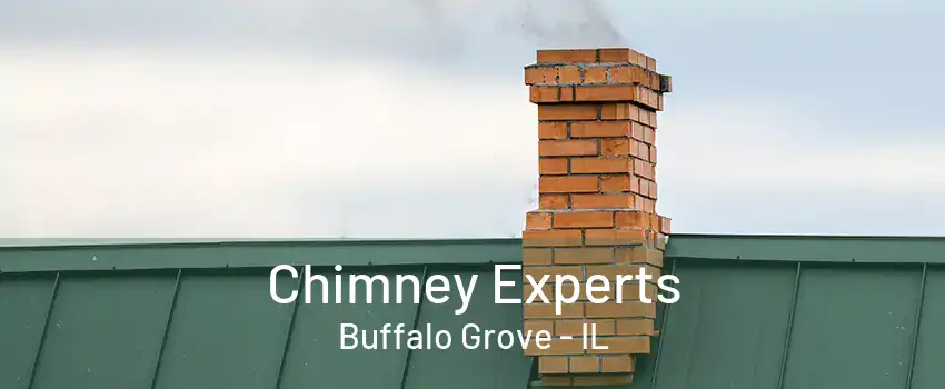 Chimney Experts Buffalo Grove - IL