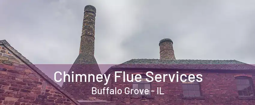 Chimney Flue Services Buffalo Grove - IL