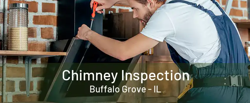 Chimney Inspection Buffalo Grove - IL