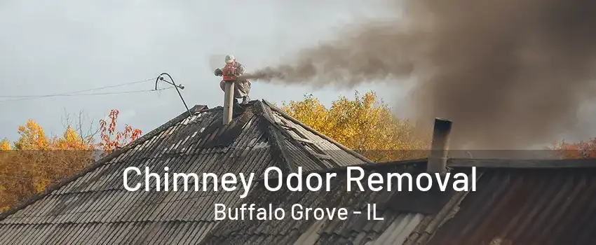 Chimney Odor Removal Buffalo Grove - IL