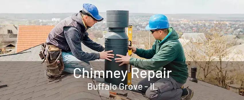 Chimney Repair Buffalo Grove - IL