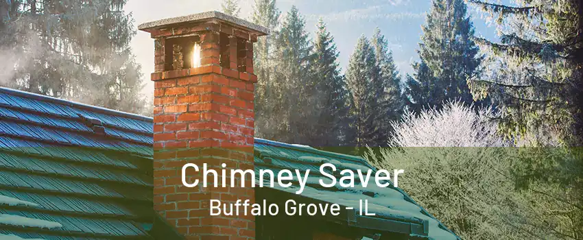 Chimney Saver Buffalo Grove - IL