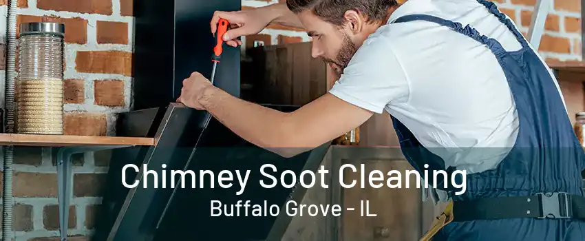 Chimney Soot Cleaning Buffalo Grove - IL
