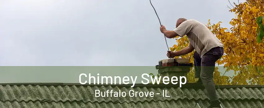 Chimney Sweep Buffalo Grove - IL