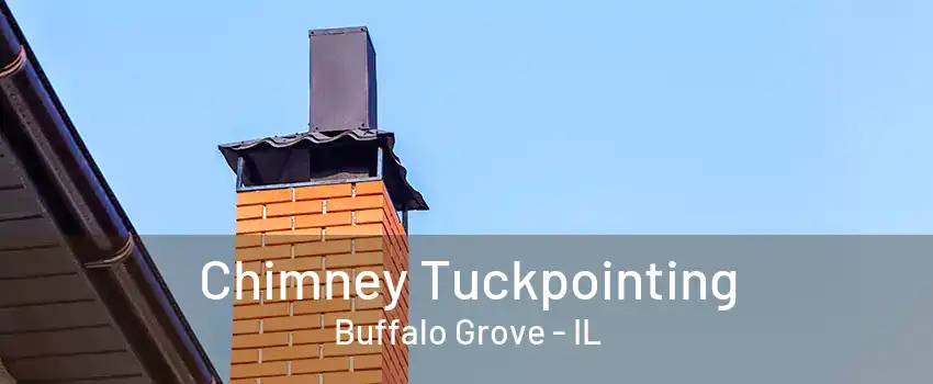 Chimney Tuckpointing Buffalo Grove - IL