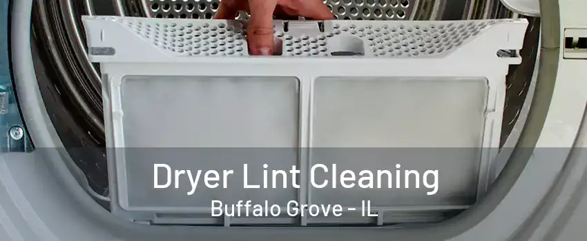 Dryer Lint Cleaning Buffalo Grove - IL
