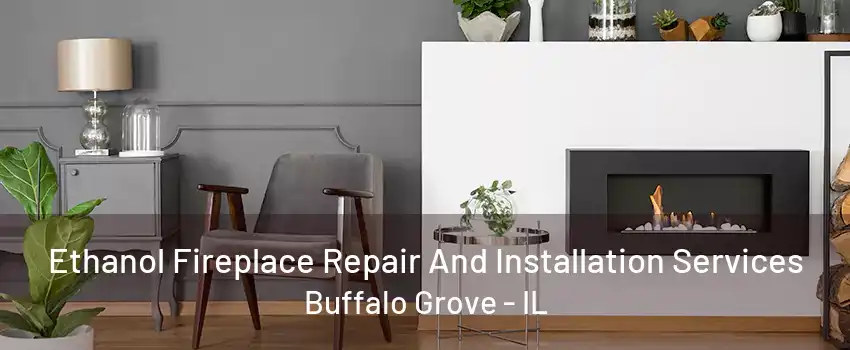 Ethanol Fireplace Repair And Installation Services Buffalo Grove - IL