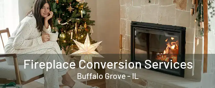 Fireplace Conversion Services Buffalo Grove - IL