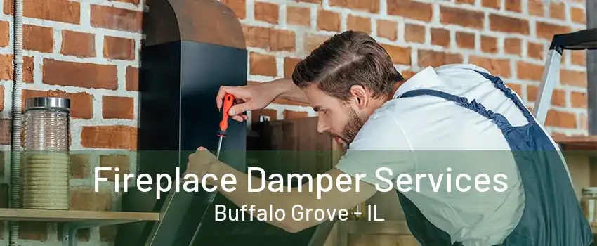 Fireplace Damper Services Buffalo Grove - IL
