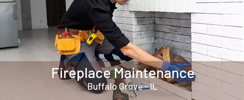 Fireplace Maintenance Buffalo Grove - IL