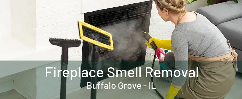 Fireplace Smell Removal Buffalo Grove - IL