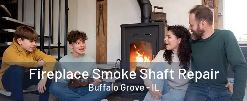 Fireplace Smoke Shaft Repair Buffalo Grove - IL
