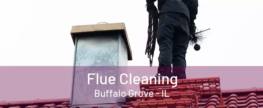 Flue Cleaning Buffalo Grove - IL