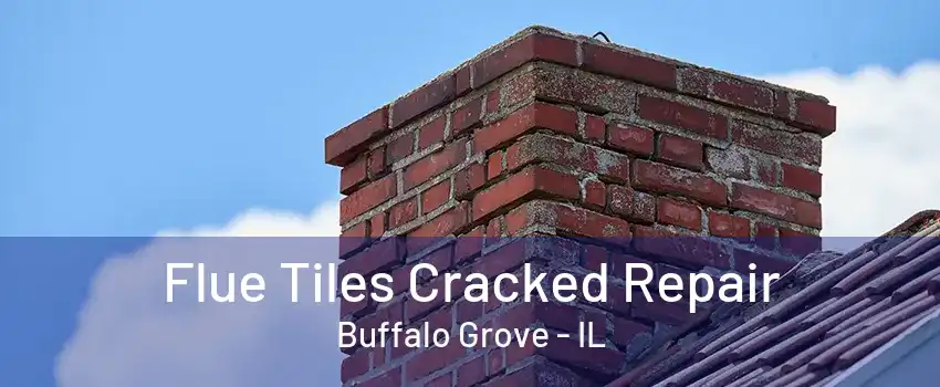 Flue Tiles Cracked Repair Buffalo Grove - IL