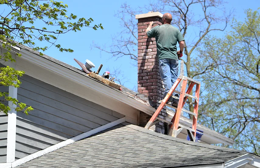 Chimney & Fireplace Inspections Services in Buffalo Grove, IL