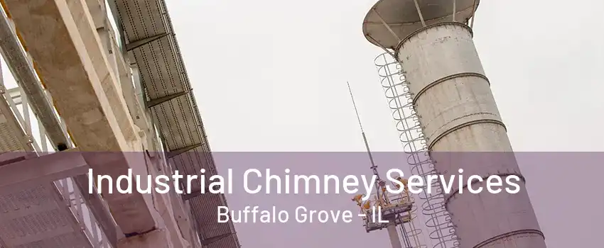 Industrial Chimney Services Buffalo Grove - IL