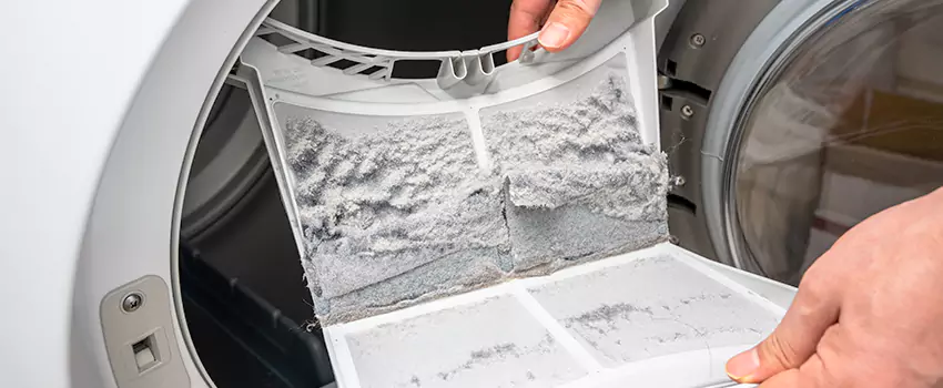Best Dryer Lint Removal Company in Buffalo Grove, Illinois
