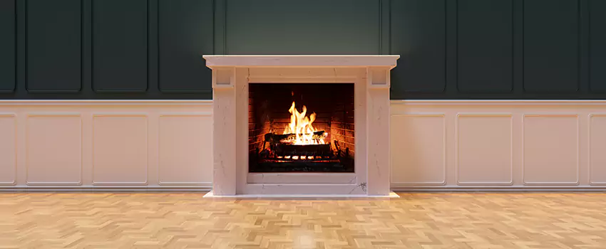 Napoleon Electric Fireplaces Inspection Service in Buffalo Grove, Illinois