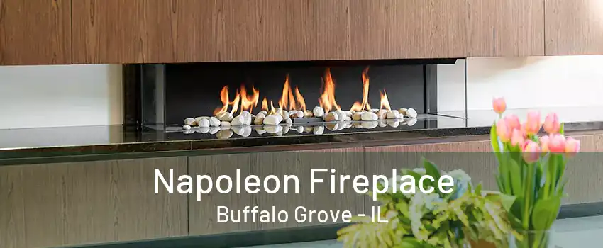 Napoleon Fireplace Buffalo Grove - IL