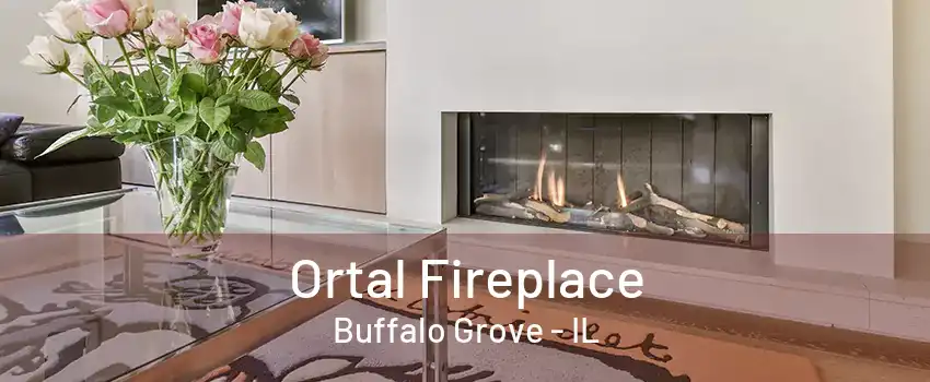 Ortal Fireplace Buffalo Grove - IL
